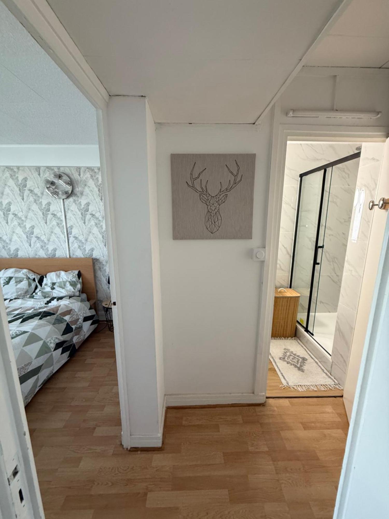 グルノーブルSuperbe Duplex Avec Parking Gratuitアパートメント エクステリア 写真