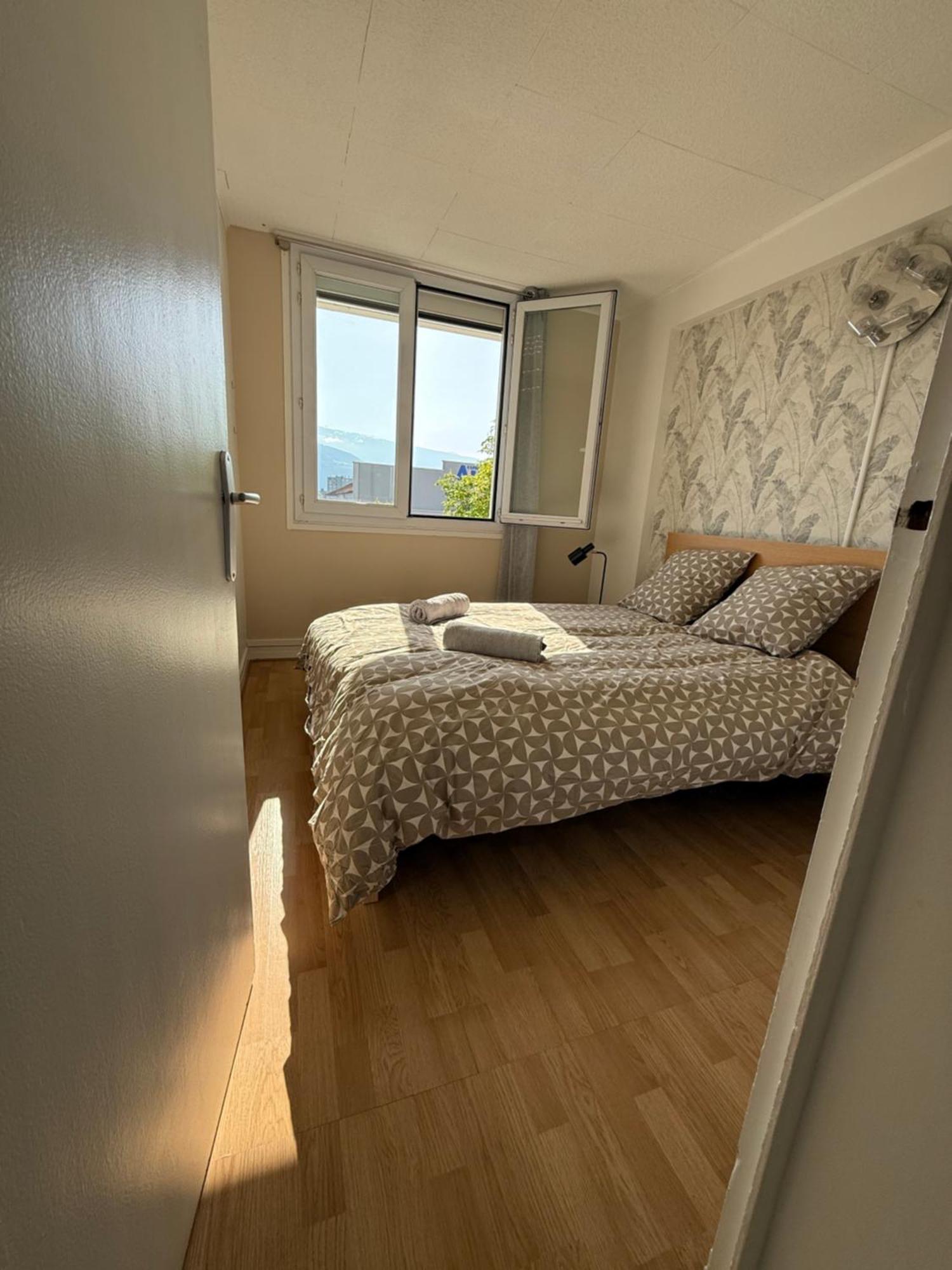 グルノーブルSuperbe Duplex Avec Parking Gratuitアパートメント エクステリア 写真